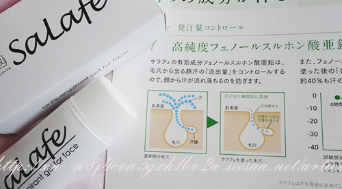 Salafeの箱とパンフ